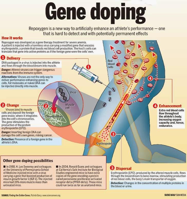 Exploring the Possibilities and Risks of Gene Editing